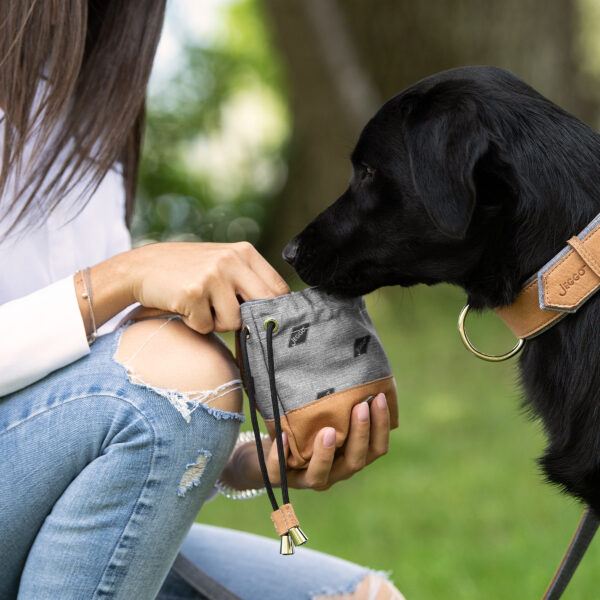 JEGGO Leckerlibeutel für Hundesnacks